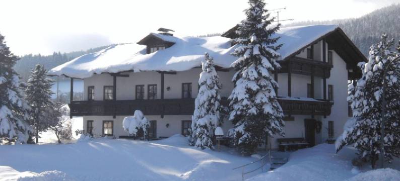 克拉斯旅馆酒店(Gasthof-Pension-Kraus)图片