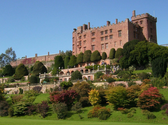 森林乡村别墅住宿加早餐旅馆