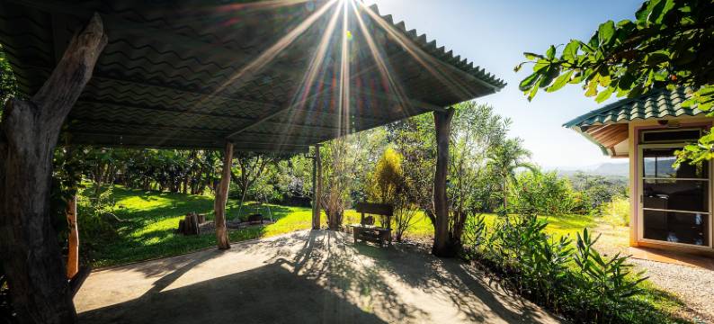 劳雷莱斯民宿(Casa Laureles)图片