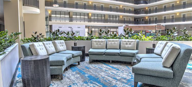 印第安纳波利斯北希尔顿安泊酒店(Embassy Suites by Hilton Indianapolis North)图片