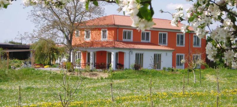 Weinhof am Nussbaum图片