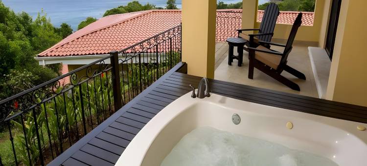 西帕帕加约酒店-限成人-全包(Occidental Papagayo - Adults Only All Inclusive)图片