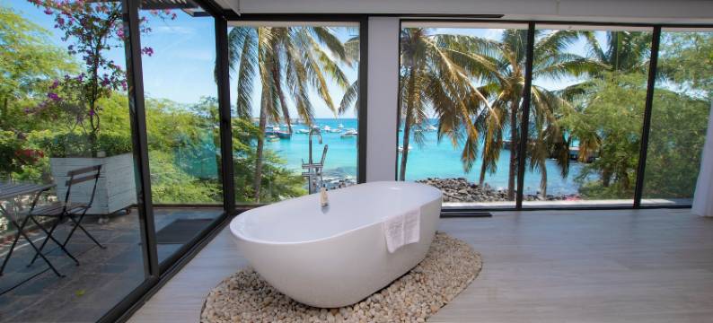 金湾加拉帕戈斯(Golden Bay Galapagos)图片