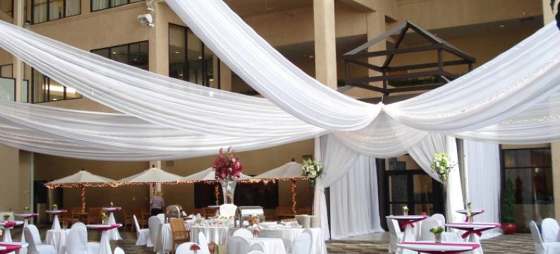 圣保罗市区希尔顿逸林酒店(DoubleTree by Hilton St Paul Downtown)图片