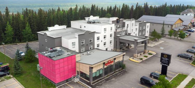 Ascend Collection酒店维洛拉欣顿(Velora Hinton, an Ascend Collection Hotel)图片