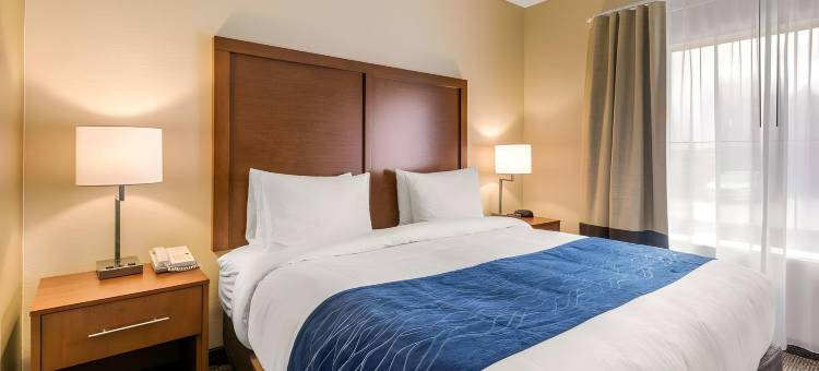 IAH布什机场-东舒适套房酒店(Comfort Inn & Suites IAH Bush Airport - East)图片