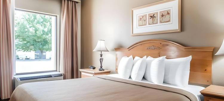 斯普林菲尔德品质酒店-US65&E战场路(Quality Inn US65 & E Battlefield Rd Springfield)图片