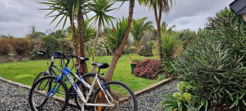 Holiday Home in Pleubian near Kermagen Beach图片
