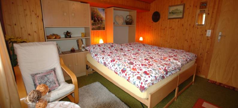 Chalet in Wilderswil with Jungfrau Views图片