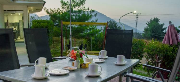 法国梧桐家庭度假酒店(Chinar Family Resort)图片