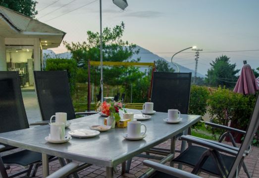 Chinar Family Resort Hotel Overview