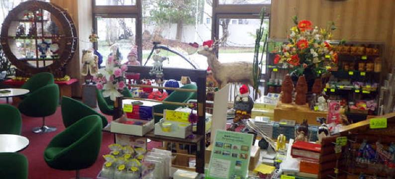 摩周酒店(Hotel Masyu)图片