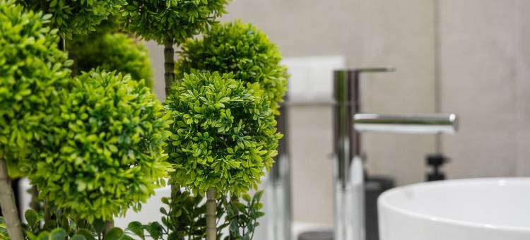 GuestReady - Modern Comfort in Central Aveiro图片