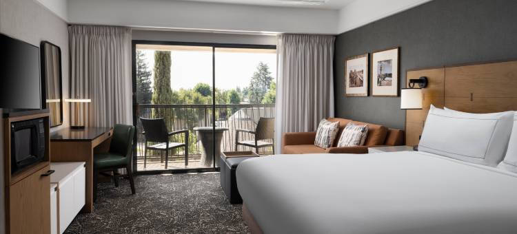 斯托克顿希尔顿酒店(Hilton Stockton)图片