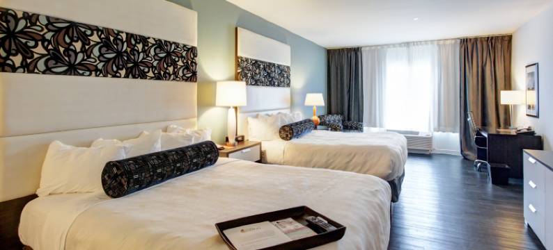 Hotel Indigo 韦科 - 贝勒(Hotel Indigo WACO - BAYLOR by IHG)图片