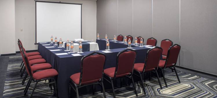 墨西哥 - 托雷奥智选假日酒店(Holiday Inn Express Mexico- Toreo)图片