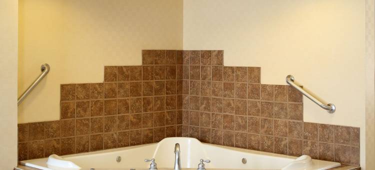 滑铁卢雪松谷欢朋酒店(Hampton Inn by Hilton Waterloo Cedar Valley)图片