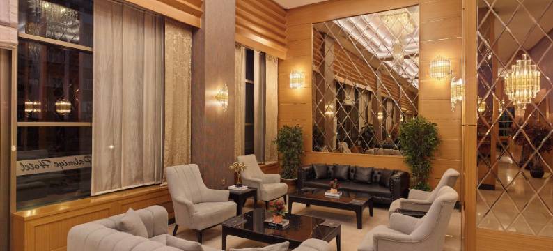 帕尔米亚加济安泰普酒店(Palmiye Hotel Gaziantep)图片