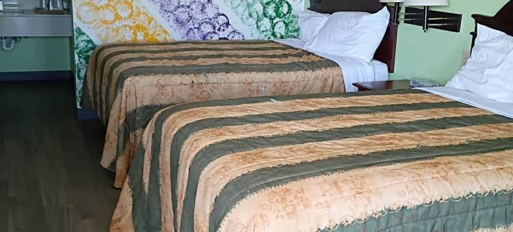 新奥尔良旅馆(Nola Inn)图片