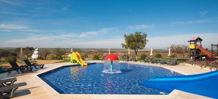 克鲁布德康博格尔别墅酒店(Vila Gale Alentejo Vineyard - Clube de Campo)图片