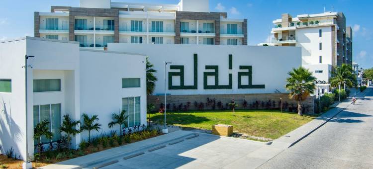 阿莱亚伯利兹傲途格精选酒店(Alaia Belize, Autograph Collection)图片