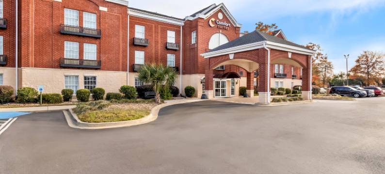 舒适套房酒店(Comfort Suites)图片