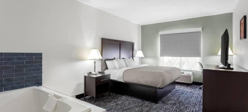 凯艺套房酒店(Quality Inn & Suites Niles)图片