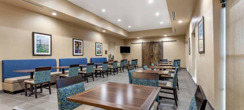 圣安东尼奥-萨姆休斯堡-军事医疗中心舒适套房酒店(Comfort Suites San Antonio Ft Sam Houston-Sammc Area)图片