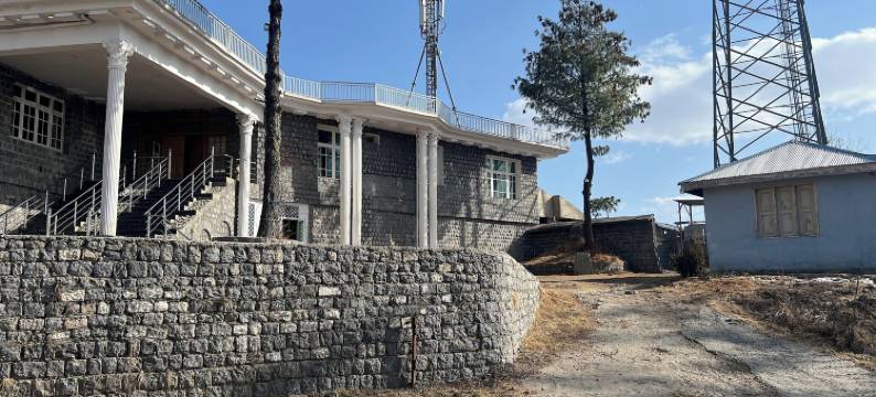 雪松与苏顿(Cedar & Sutoon)图片