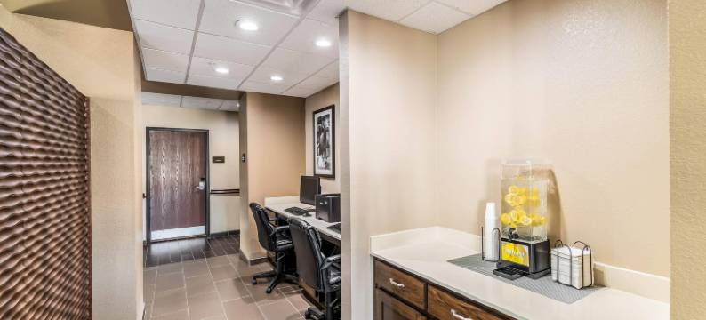 大草原城阿灵顿北部舒适套房酒店(Comfort Suites Grand Prairie - Arlington North)图片