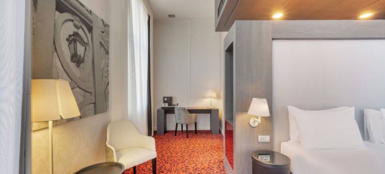 兹茨宫酒店(Eurostars Palazzo Zichy)图片