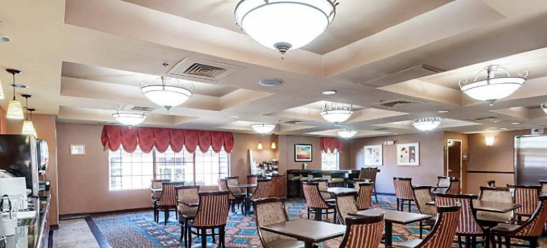 达勒斯机场舒适套房酒店(Comfort Suites Dulles Airport)图片