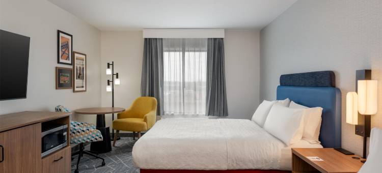 底特律绍斯盖特欢朋酒店(Hampton Inn Detroit/Southgate)图片