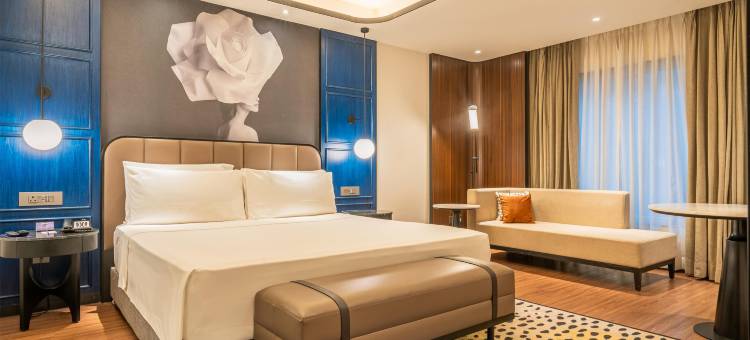 艾哈迈达巴德丽笙酒店(Radisson Blu Hotel Ahmedabad)图片