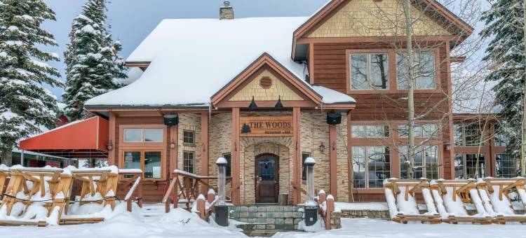 I Spy - 舒适的宠物友好型，滑雪入/滑雪出公寓，带私人热水浴缸(I Spy - Cozy Pet Friendly, Ski in/Ski Out Condo with Private Hot Tub)图片
