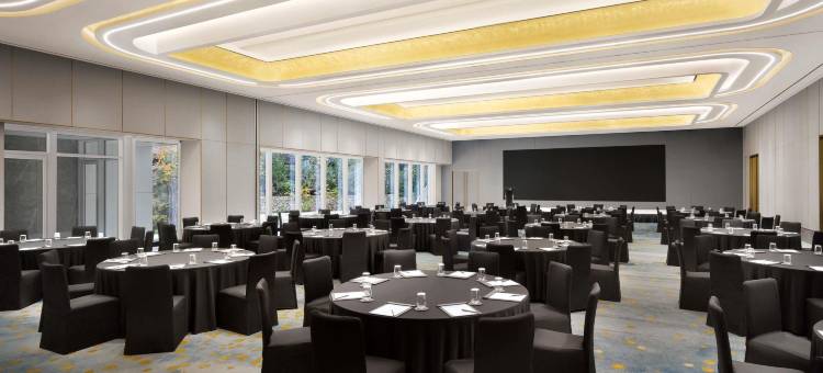 美憬阁首尔 Naru 大使酒店(Hotel Naru Seoul - MGallery Collection)图片
