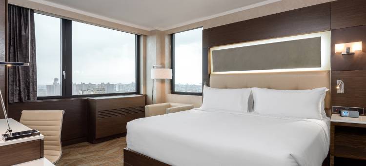 布鲁克林市中心假日酒店(Holiday Inn BROOKLYN DOWNTOWN by IHG)图片