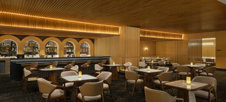 班加罗尔机场希尔顿逸林(DoubleTree By Hilton Bengaluru Airport)图片