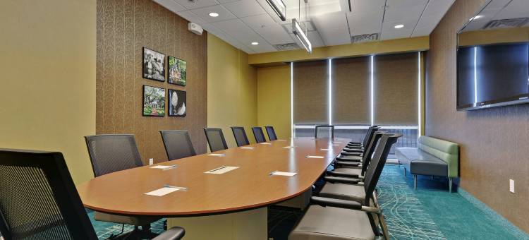 巴吞鲁日冈萨雷斯SpringHill Suites酒店(SpringHill Suites Baton Rouge Gonzales)图片