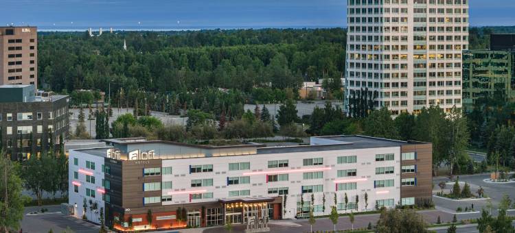 安克雷奇雅乐轩酒店(Aloft Anchorage)图片