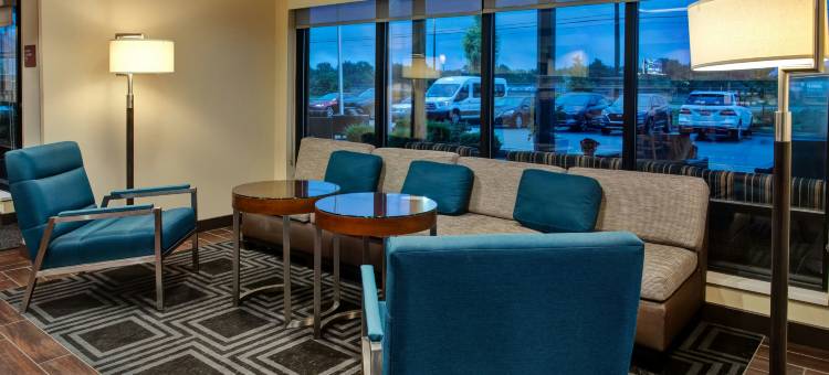 底特律贝尔维尔TownePlace Suites酒店(TownePlace Suites Detroit Belleville)图片