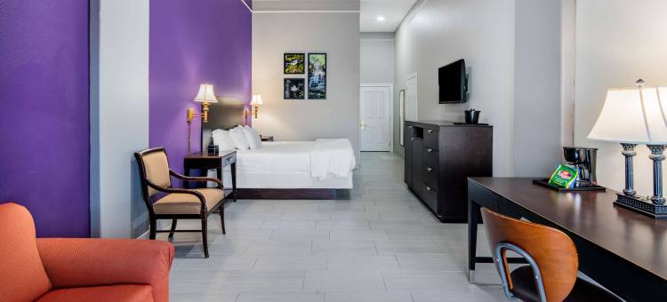 麦卡伦东阿拉莫拉昆塔温德姆套房酒店(La Quinta Inn & Suites by Wyndham Alamo - McAllen East)图片