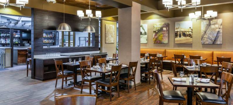 芝加哥北岸迪尔菲尔德希尔顿安泊套房酒店(Embassy Suites by Hilton Chicago North Shore Deerfield)图片