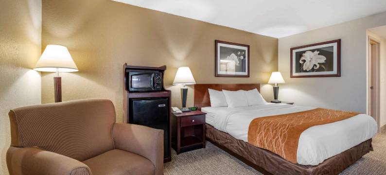 舒适酒店-东北区(Comfort Inn Northeast)图片