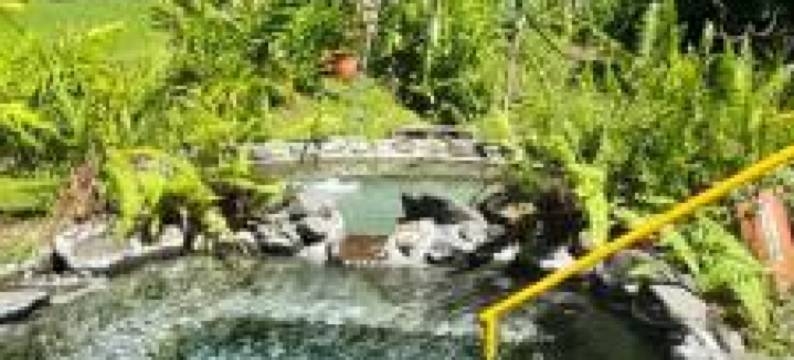 塞莫天堂度假屋(Thermal Paradise Villa)图片