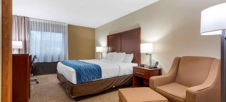 宾厄姆顿I-81舒适酒店(Comfort Inn Binghamton I-81)图片