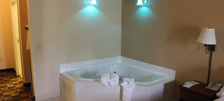 智选假日套房酒店托马斯维尔(Holiday Inn Express & Suites Thomasville)图片