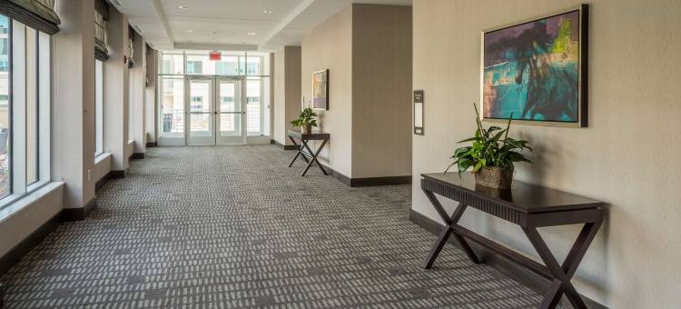 田纳西州孟菲斯东日耳曼敦希尔顿花园酒店(Hilton Garden Inn Memphis East Germantown)图片