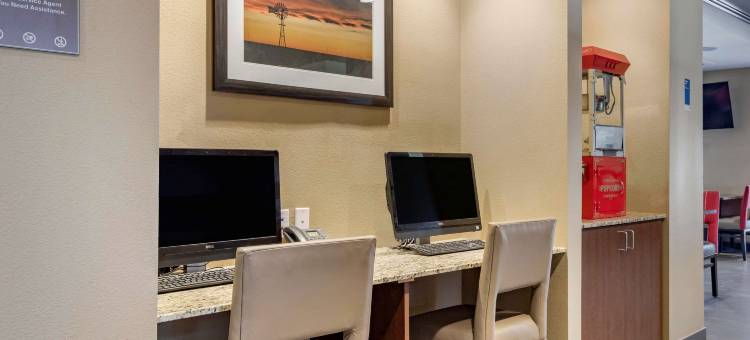 舒适套房酒店(Comfort Inn & Suites)图片