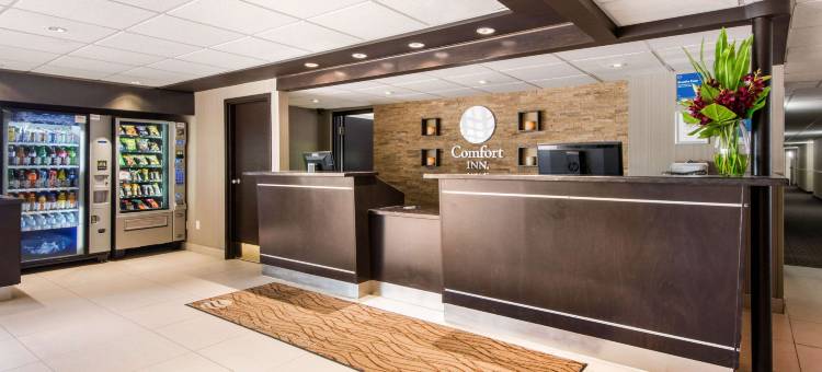 舒适酒店机场西(Comfort Inn Airport West)图片